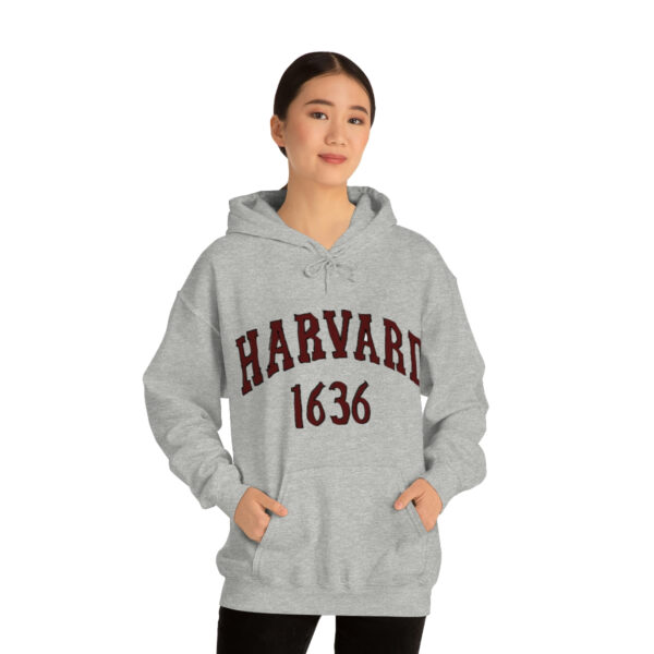 Unisex Heavy Blend™ Hooded Sweatshirt - Image 10