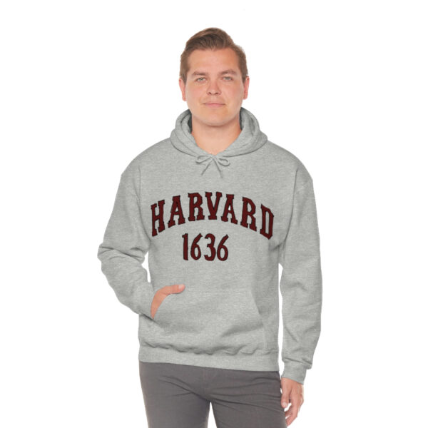 Unisex Heavy Blend™ Hooded Sweatshirt - Image 13