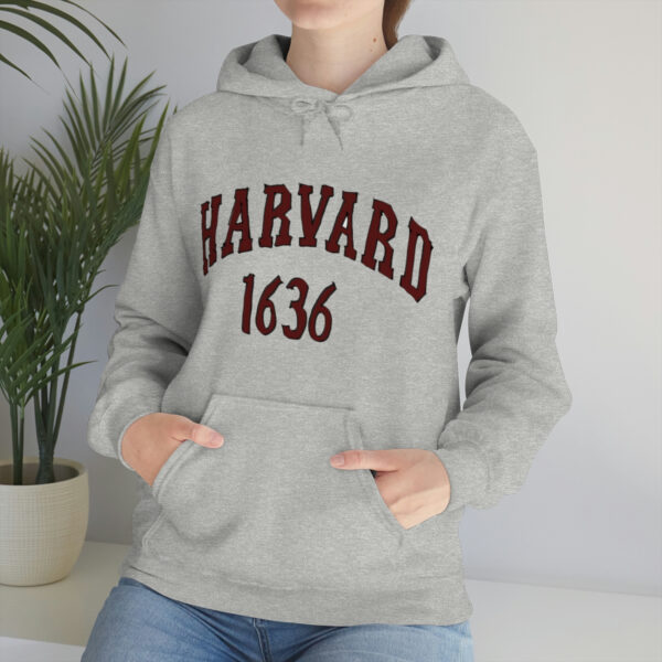 Unisex Heavy Blend™ Hooded Sweatshirt - Image 14
