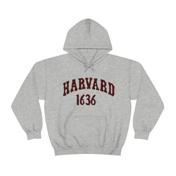 Unisex Heavy Blend™ Hooded Sweatshirt - Image 9