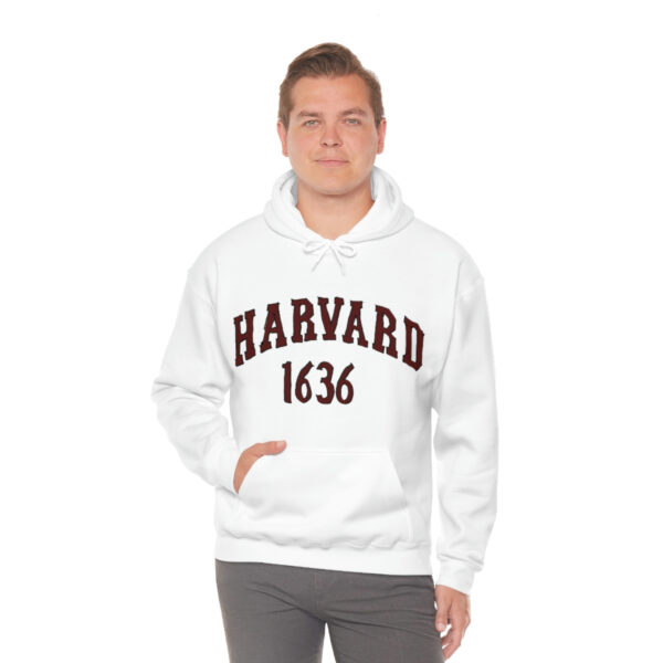 Unisex Heavy Blend™ Hooded Sweatshirt - Image 5