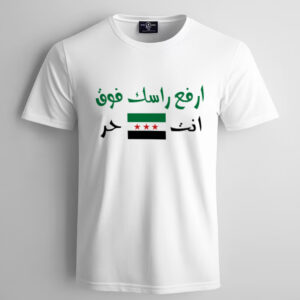 T-shirt (sentence)